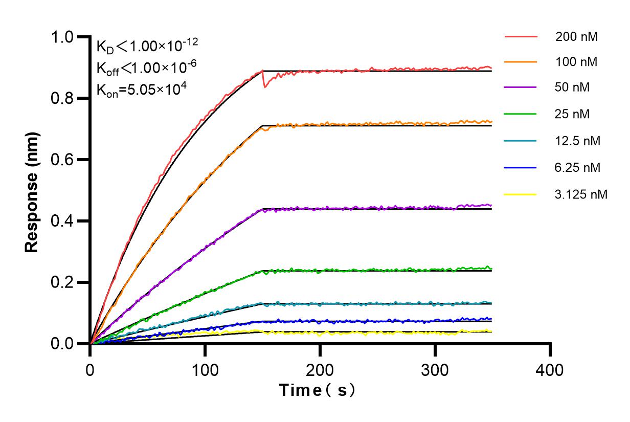 Affinity and Kinetic Characterization of 84307-5-RR