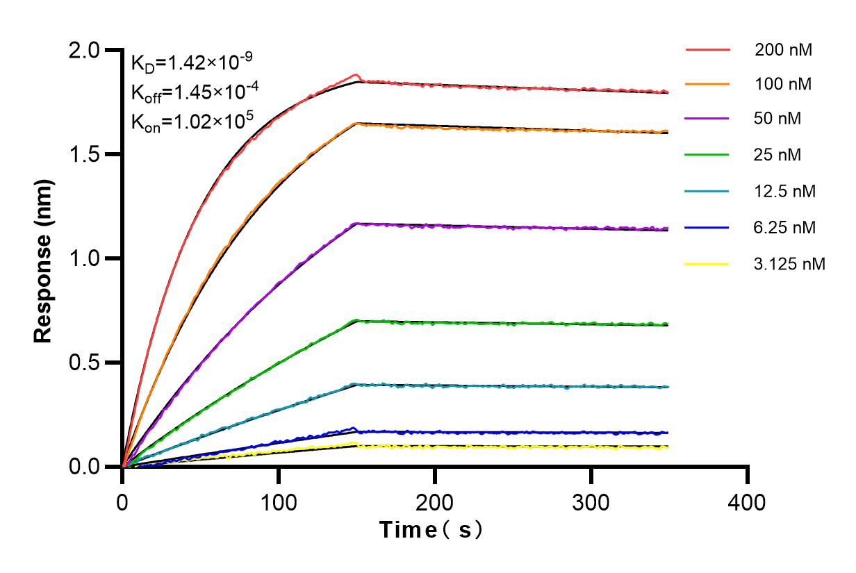 Affinity and Kinetic Characterization of 84314-3-RR