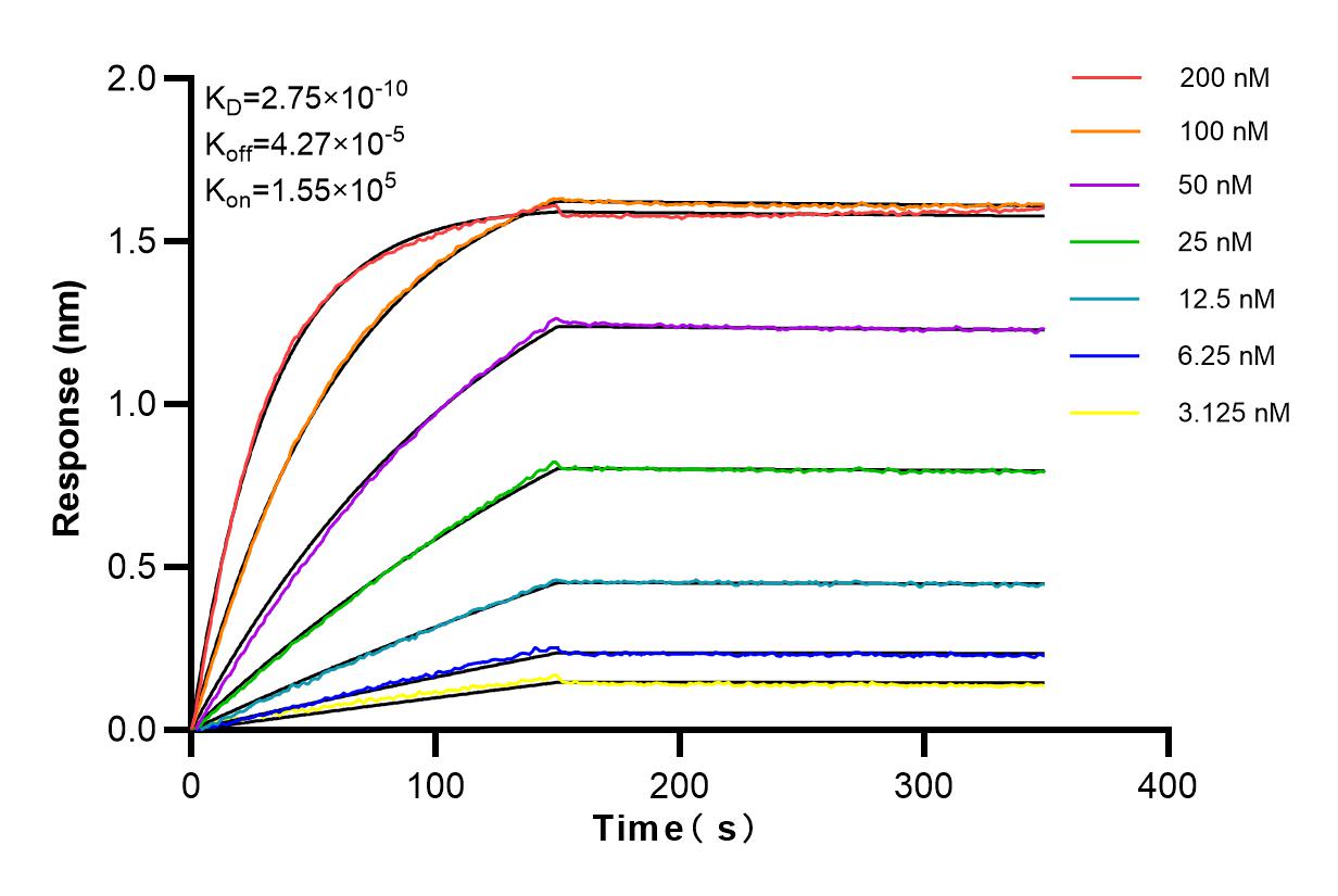 Affinity and Kinetic Characterization of 84316-7-RR