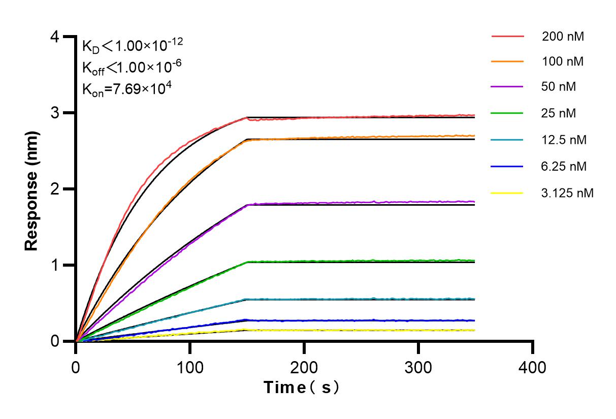 Affinity and Kinetic Characterization of 84320-2-RR