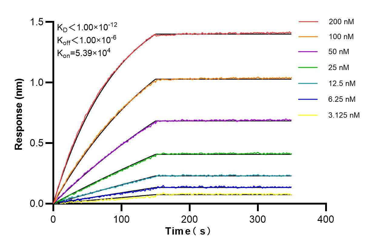 Affinity and Kinetic Characterization of 84321-3-RR