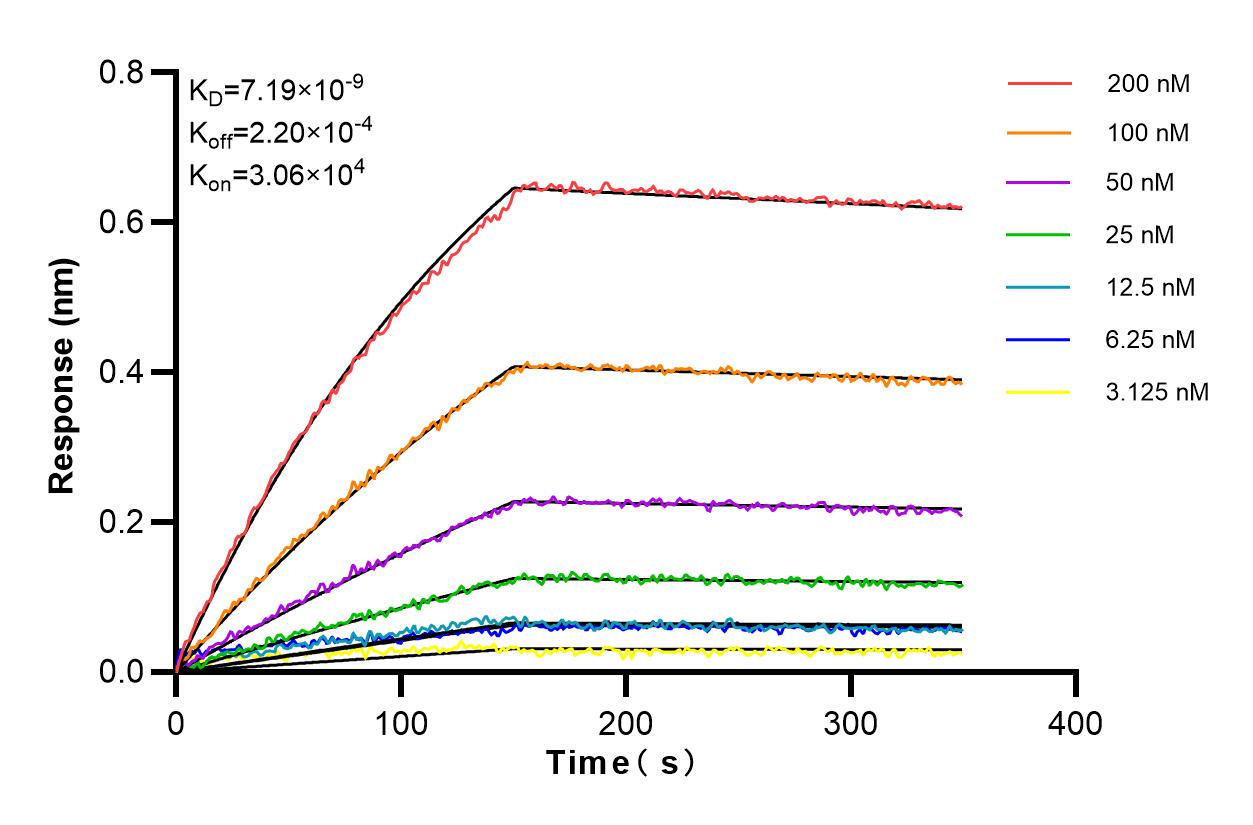 Affinity and Kinetic Characterization of 84321-4-RR