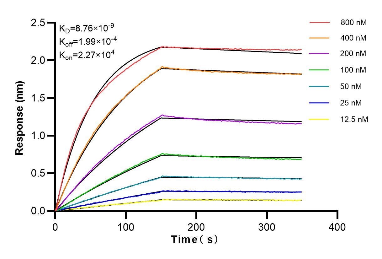 Affinity and Kinetic Characterization of 84327-1-RR