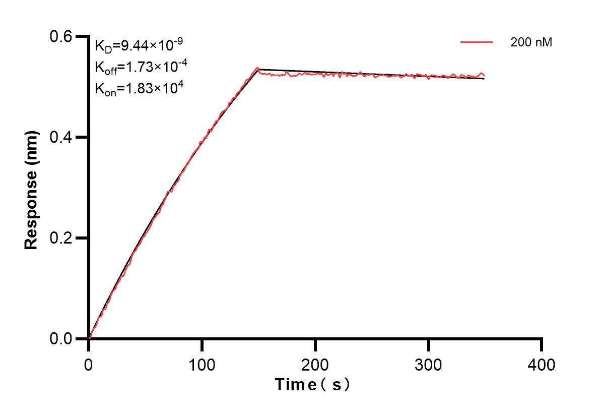 Affinity and Kinetic Characterization of 84334-1-PBS