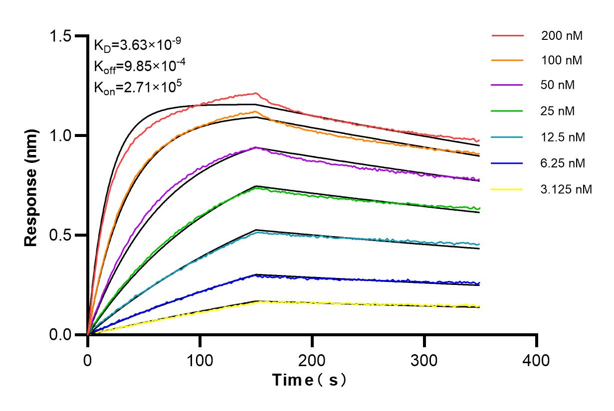 Affinity and Kinetic Characterization of 84336-6-RR