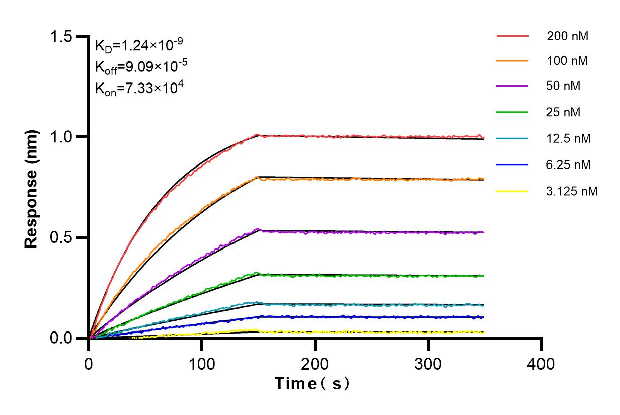 Affinity and Kinetic Characterization of 84340-2-RR