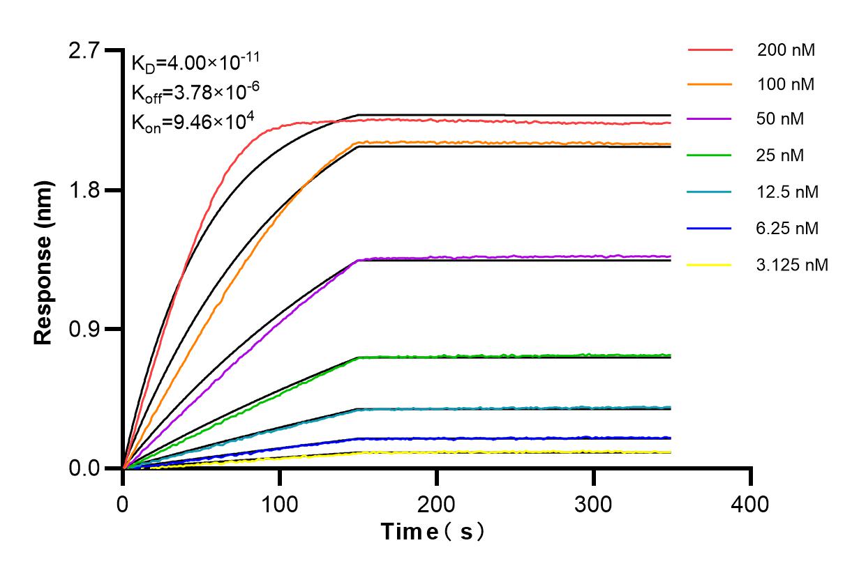 Affinity and Kinetic Characterization of 84345-5-RR