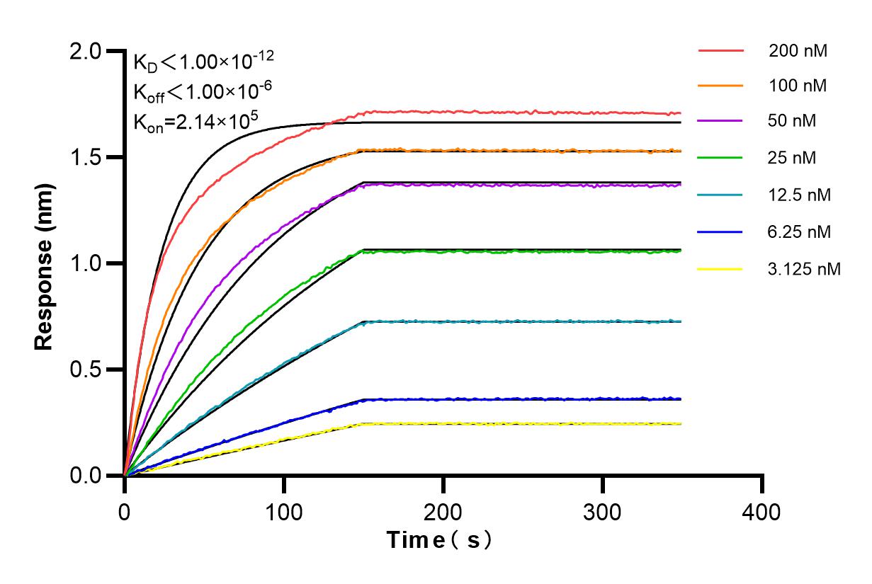 Affinity and Kinetic Characterization of 84346-4-RR
