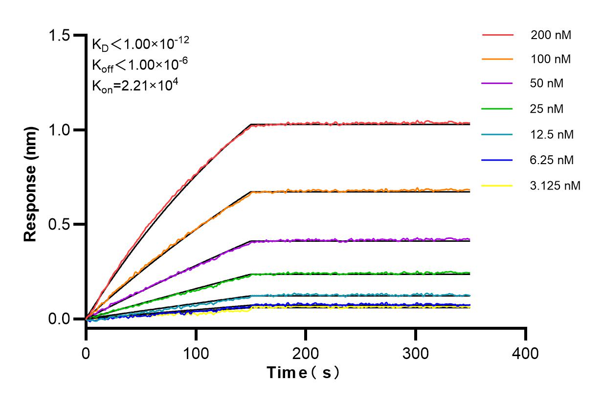 Affinity and Kinetic Characterization of 84367-7-RR