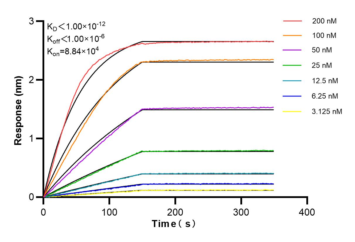 Affinity and Kinetic Characterization of 84373-6-RR