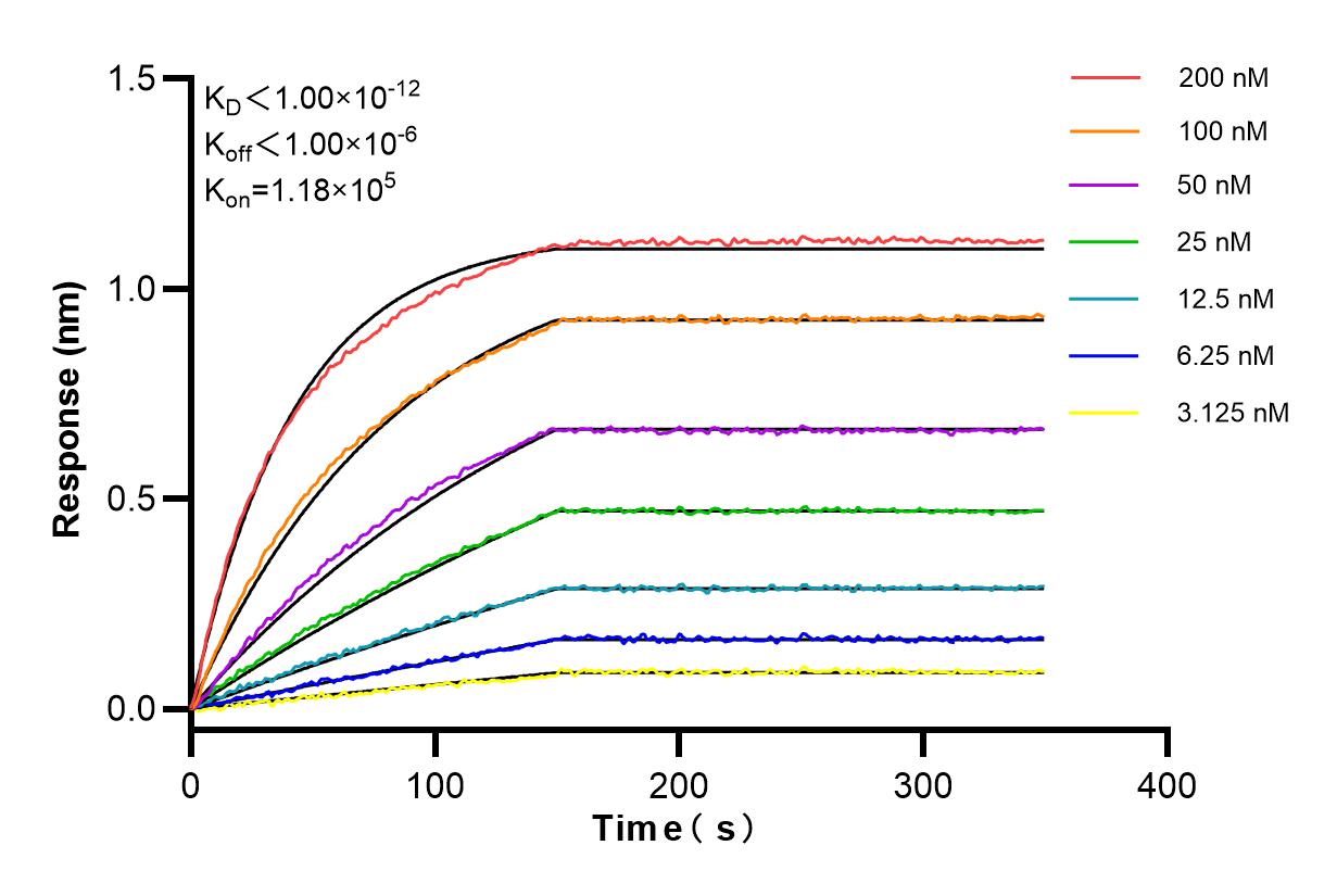 Affinity and Kinetic Characterization of 84376-3-RR