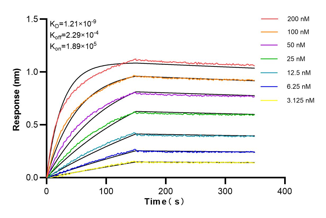 Affinity and Kinetic Characterization of 84383-2-RR