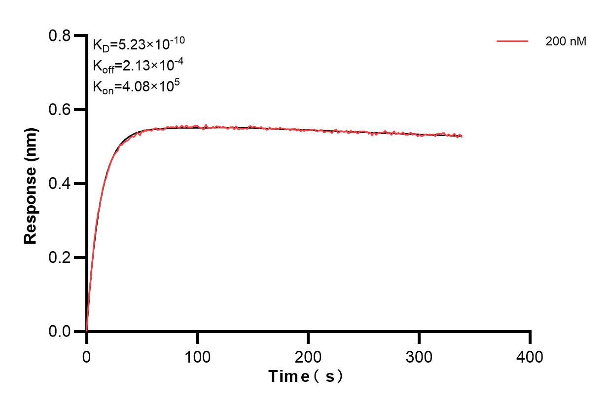 Affinity and Kinetic Characterization of 84387-3-PBS