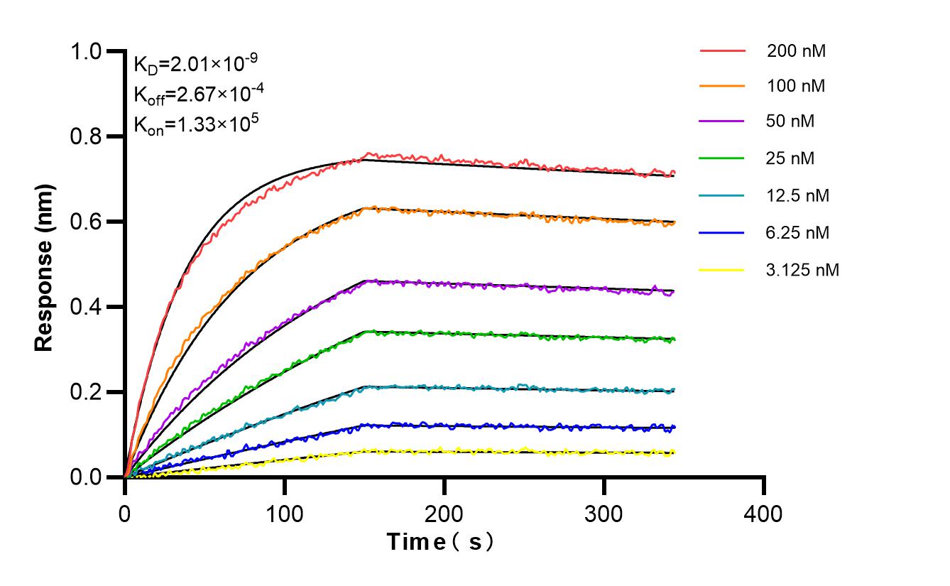 Affinity and Kinetic Characterization of 84390-4-PBS