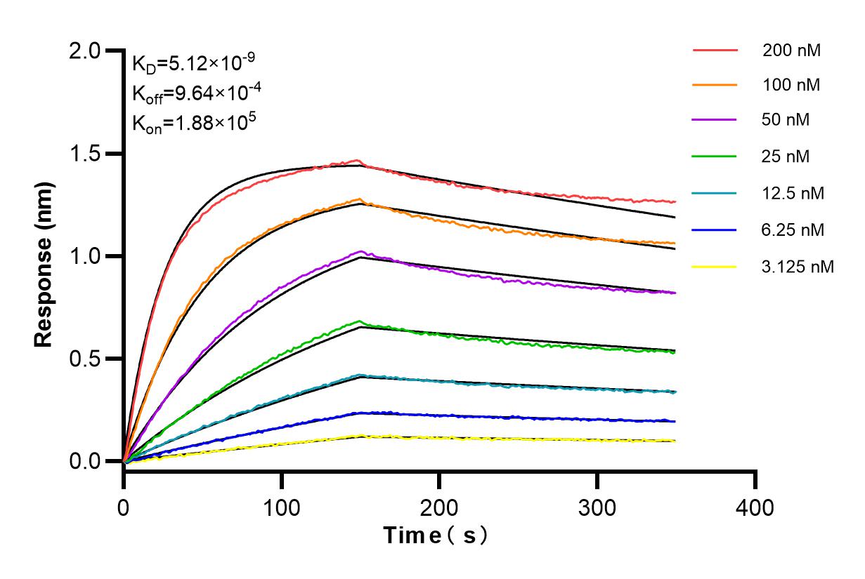 Affinity and Kinetic Characterization of 84396-2-RR