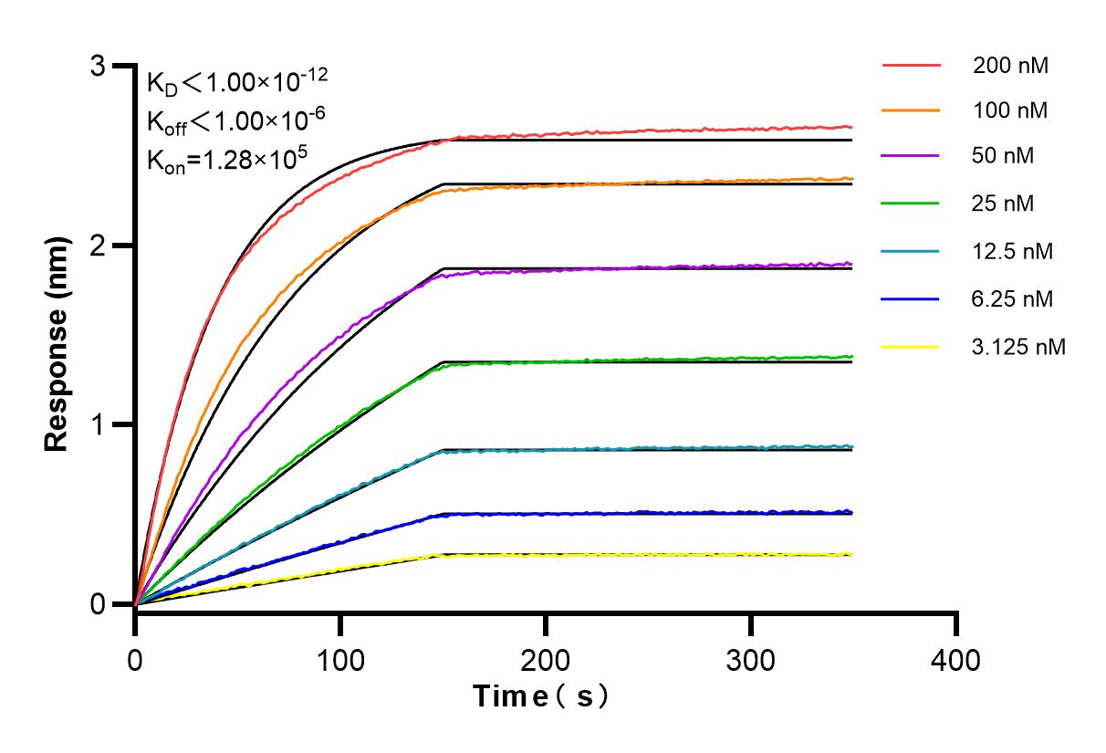 Affinity and Kinetic Characterization of 84408-4-RR