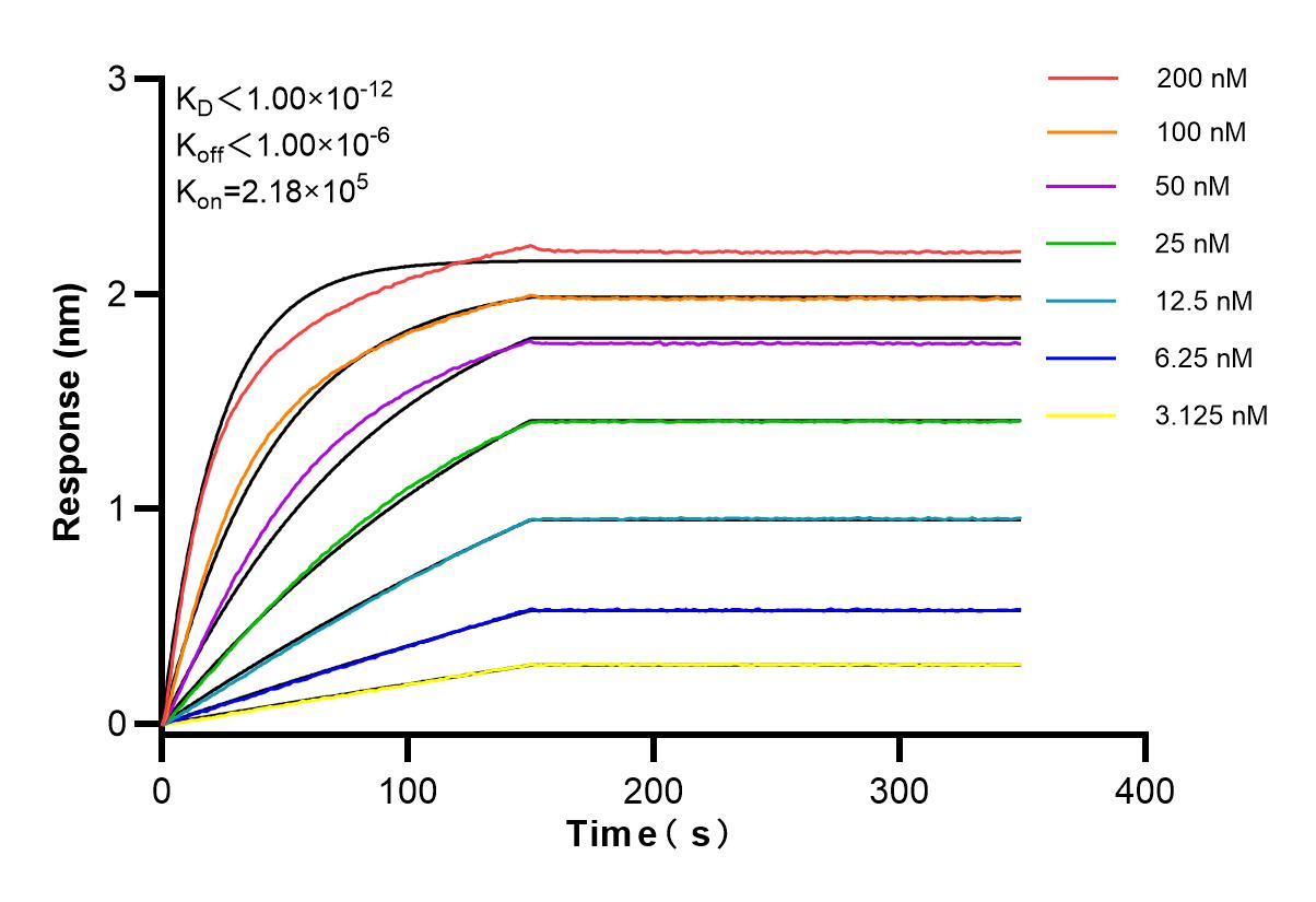 Affinity and Kinetic Characterization of 84409-4-RR