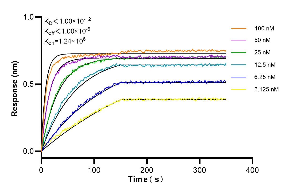 Affinity and Kinetic Characterization of 84414-6-RR