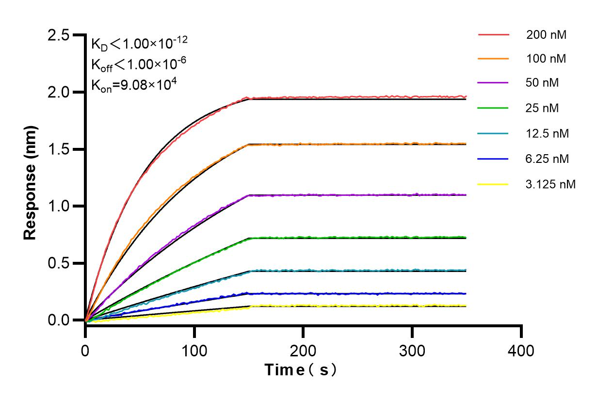 Affinity and Kinetic Characterization of 84418-7-RR