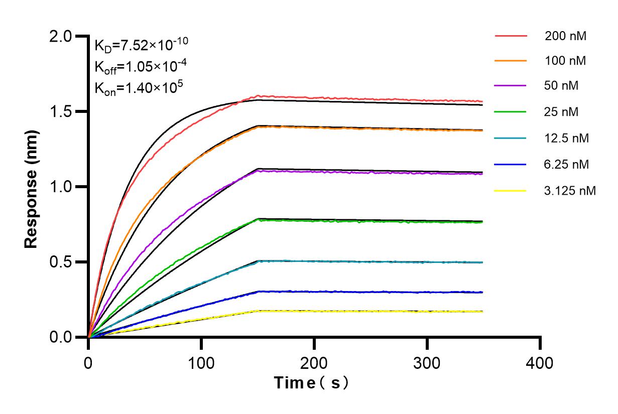 Affinity and Kinetic Characterization of 84421-1-RR