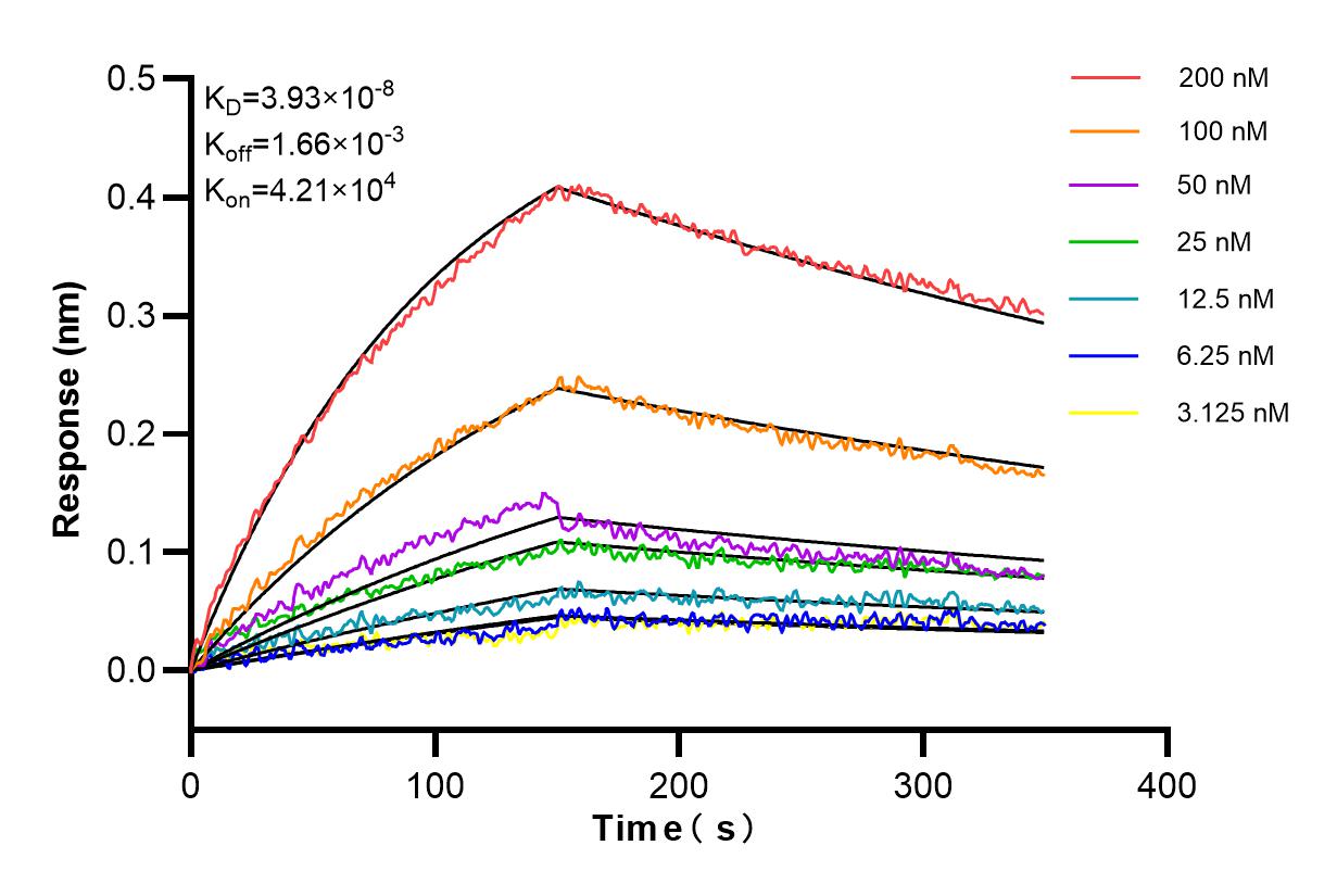 Affinity and Kinetic Characterization of 84426-5-RR