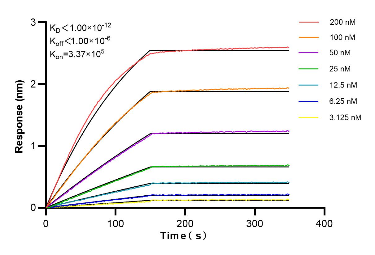 Affinity and Kinetic Characterization of 84458-4-RR