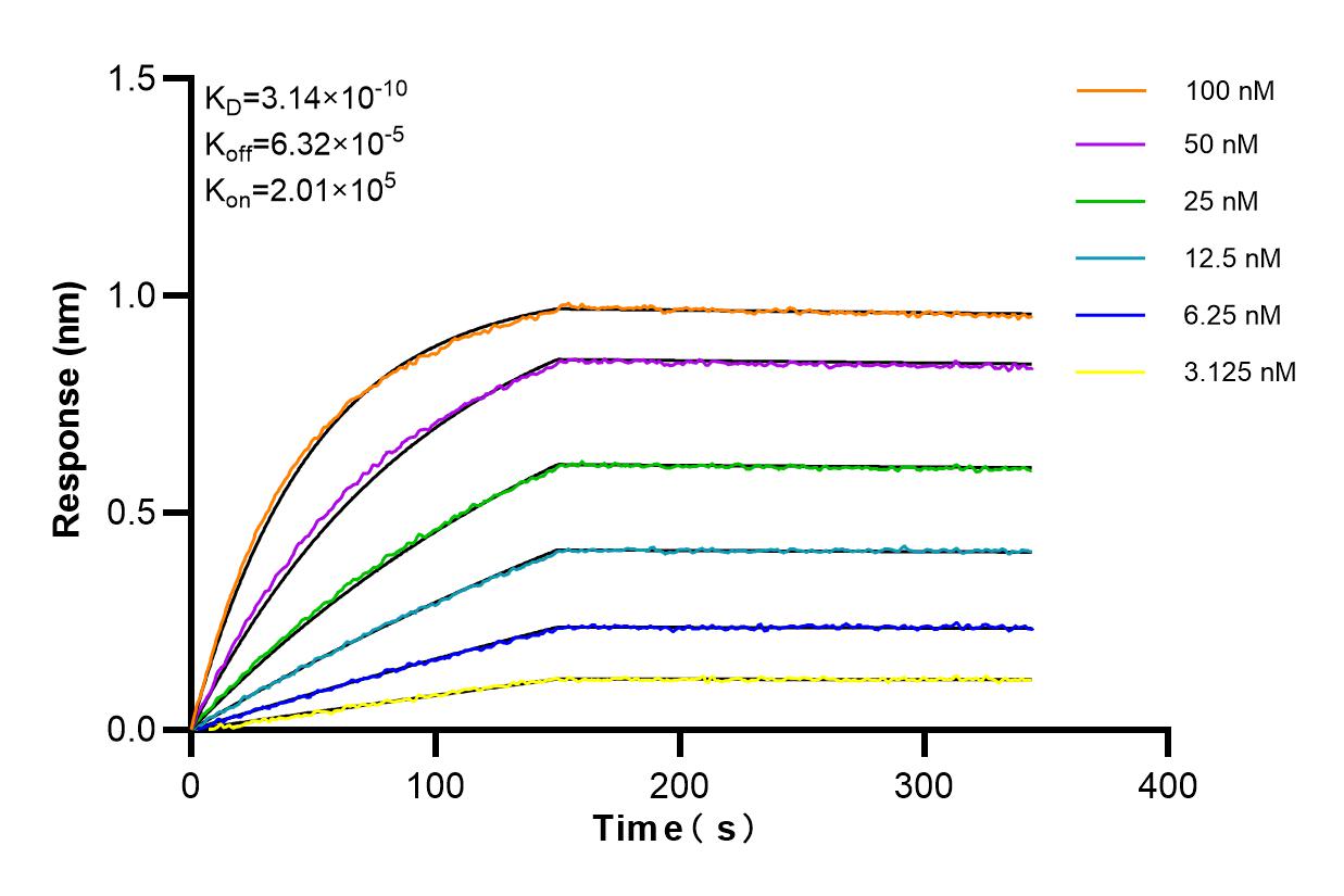 Affinity and Kinetic Characterization of 84460-5-RR