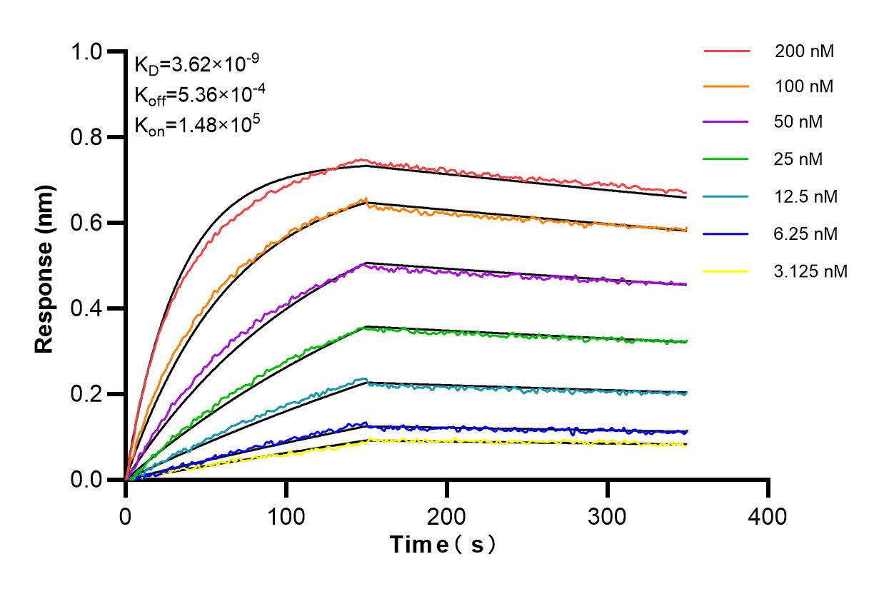 Affinity and Kinetic Characterization of 84466-4-RR