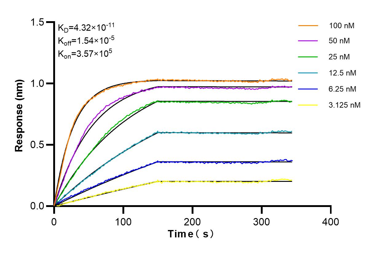 Affinity and Kinetic Characterization of 84466-5-RR