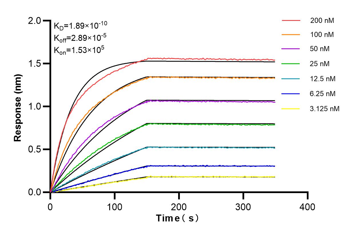 Affinity and Kinetic Characterization of 84467-2-RR