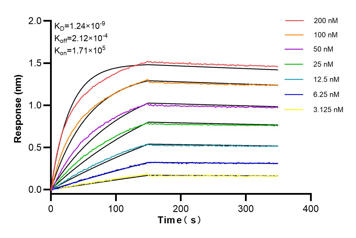 Affinity and Kinetic Characterization of 84468-4-RR