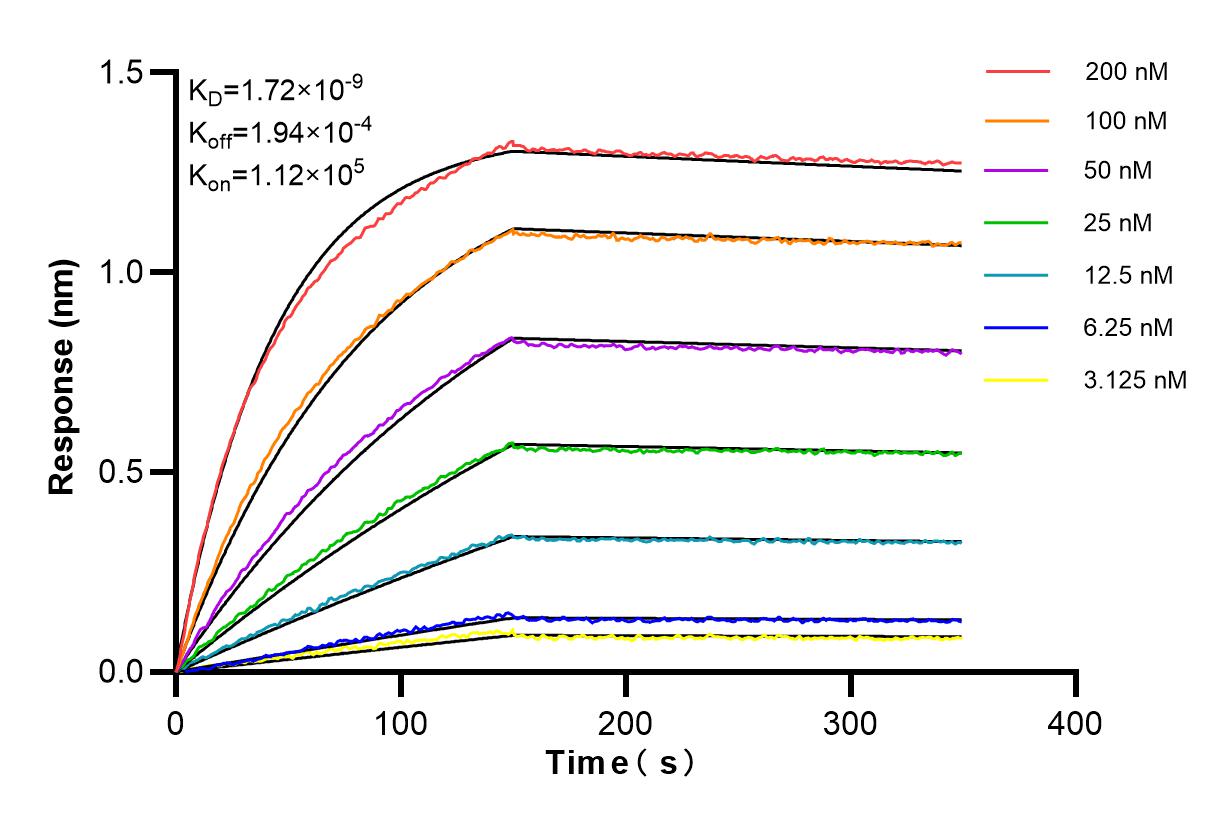 Affinity and Kinetic Characterization of 84472-4-RR