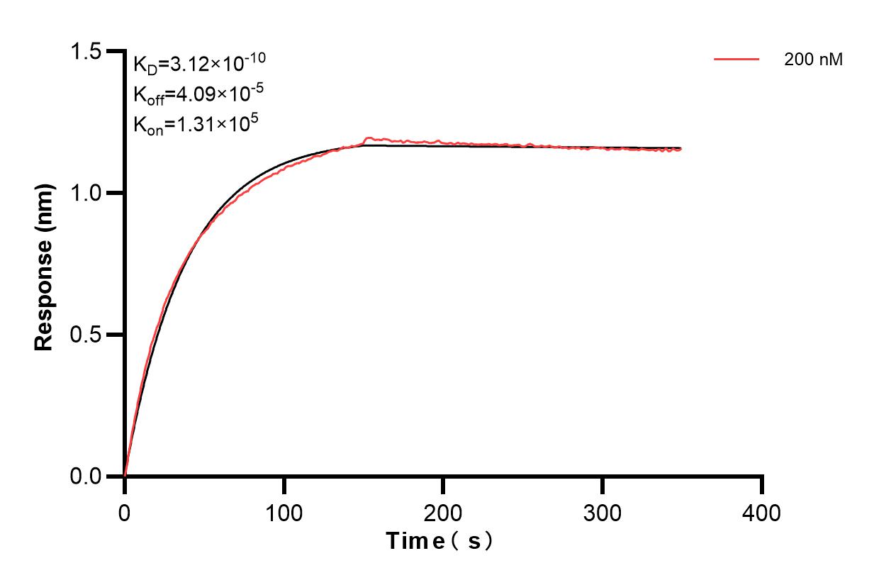 Affinity and Kinetic Characterization of 84477-5-PBS