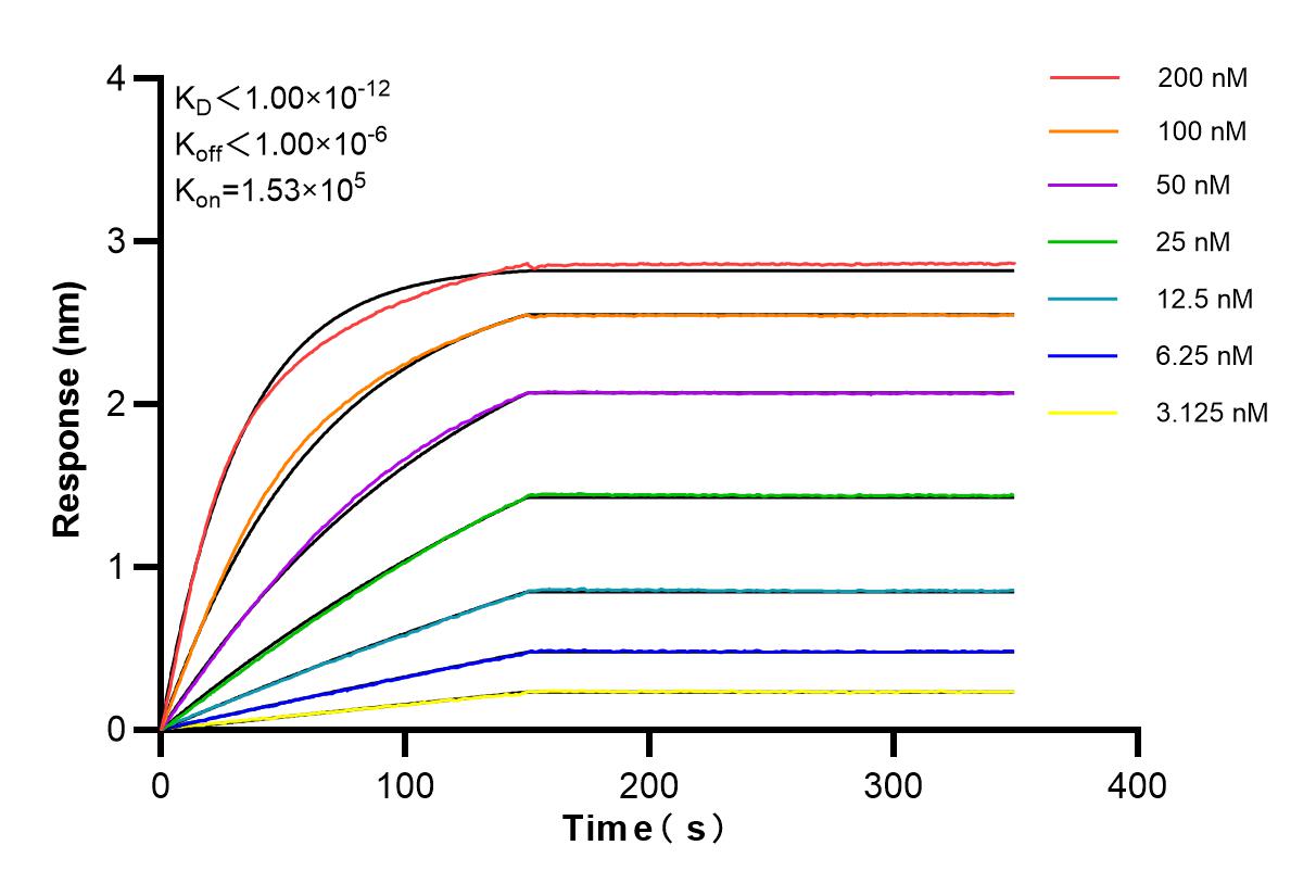 Affinity and Kinetic Characterization of 84480-2-RR