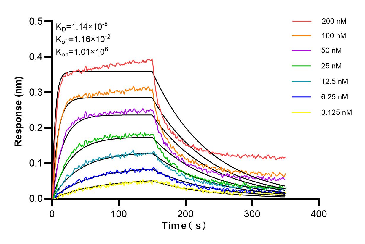 Affinity and Kinetic Characterization of 84481-4-RR