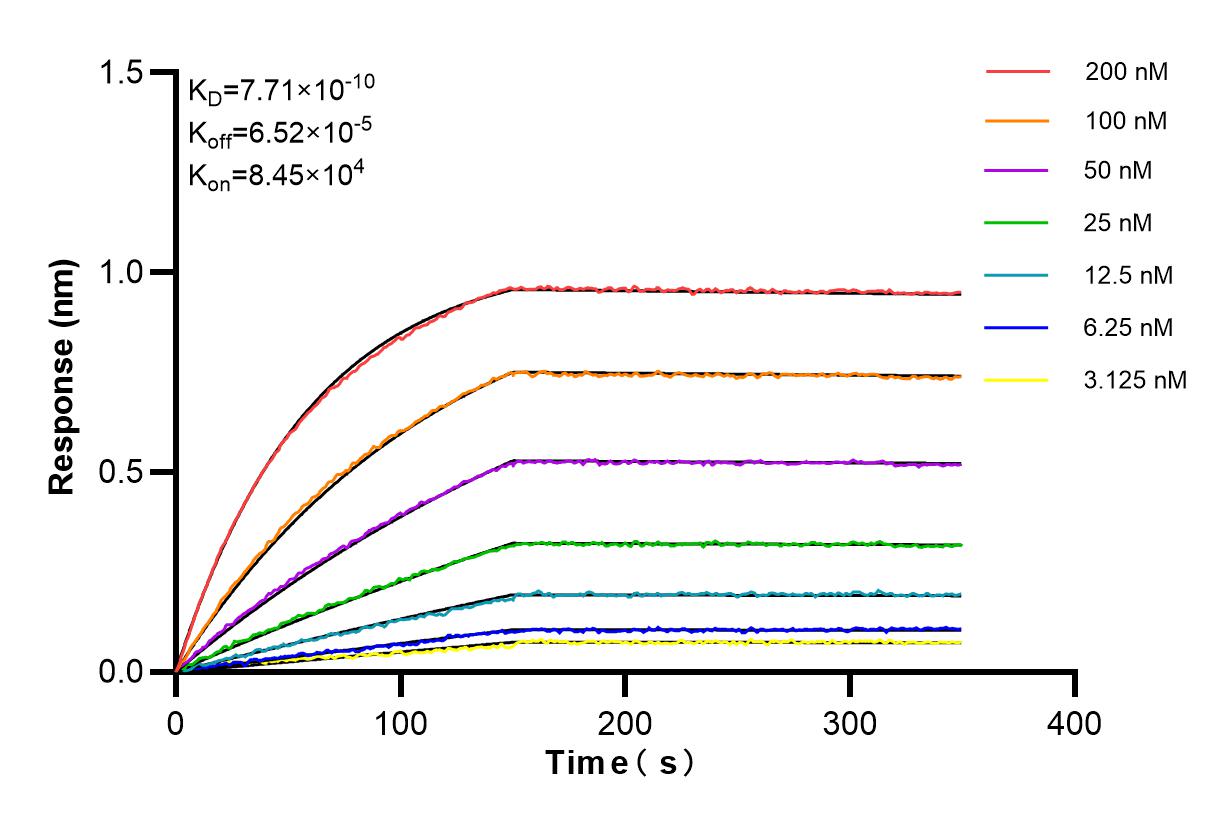 Affinity and Kinetic Characterization of 84484-3-RR