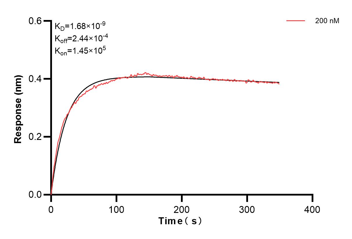 Affinity and Kinetic Characterization of 84485-3-PBS