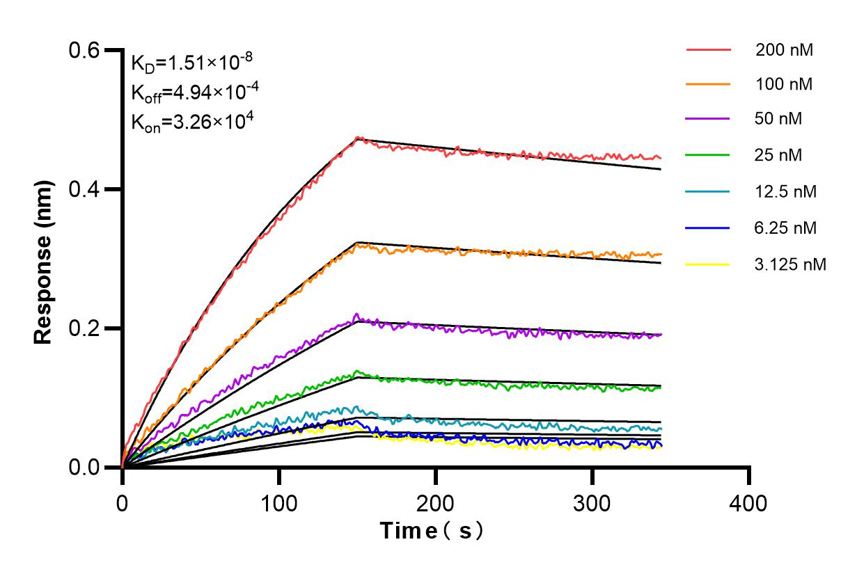 Affinity and Kinetic Characterization of 84485-5-RR