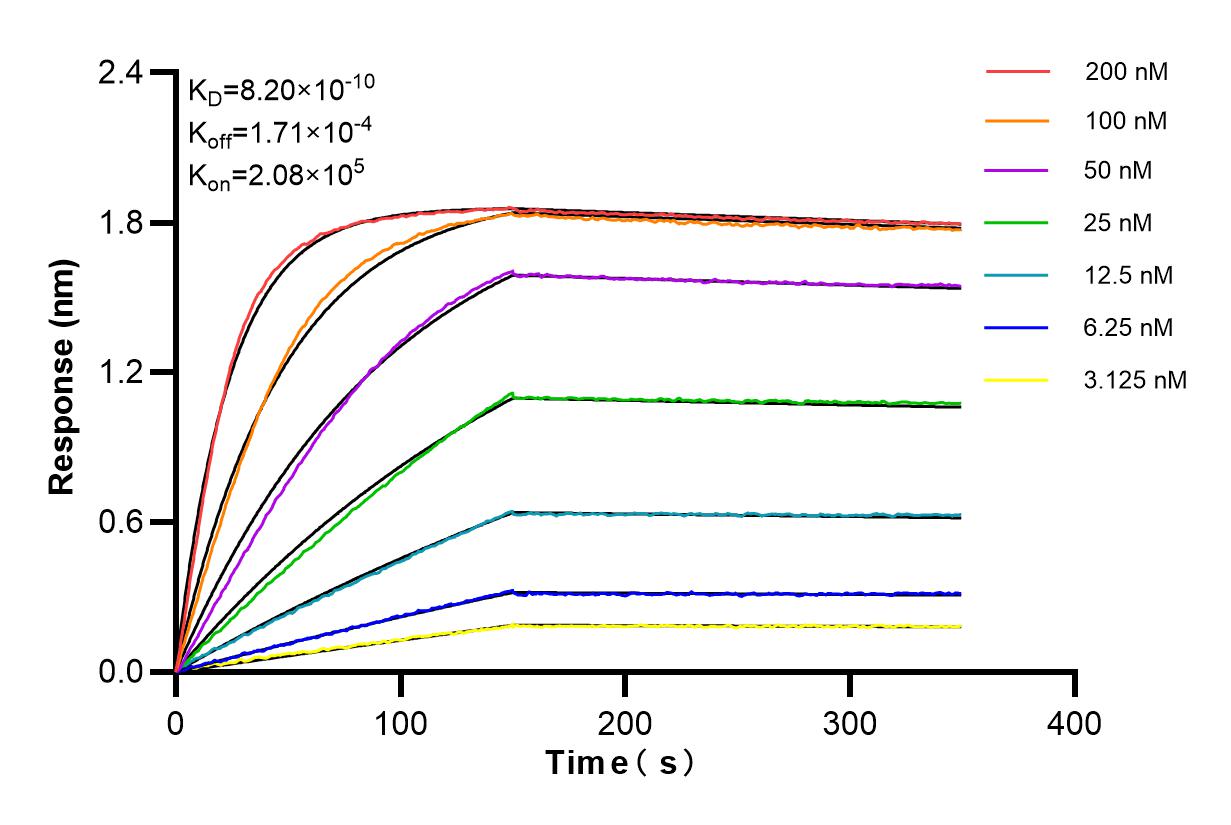 Affinity and Kinetic Characterization of 84486-2-RR