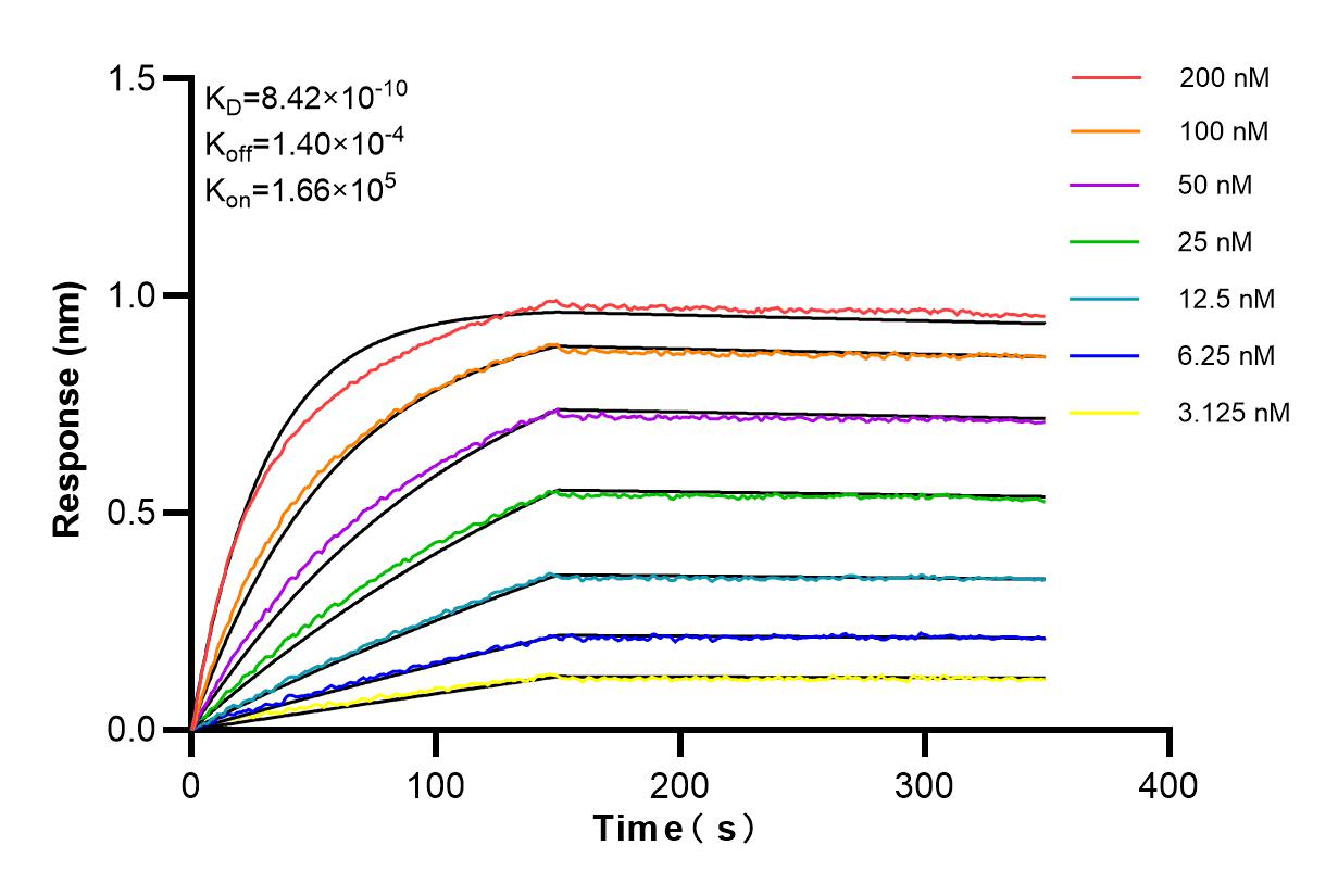 Affinity and Kinetic Characterization of 84489-5-RR