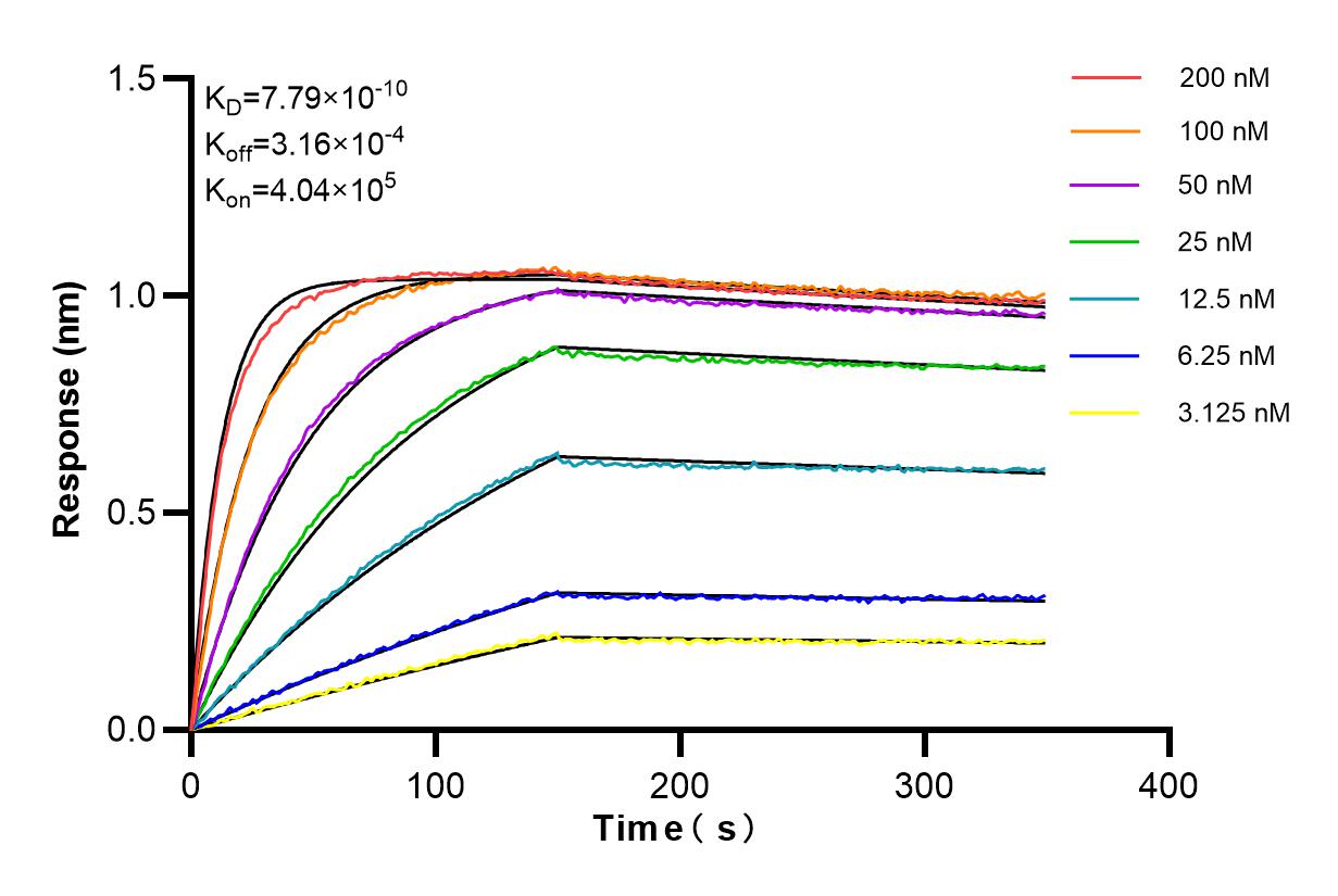 Affinity and Kinetic Characterization of 84490-2-RR