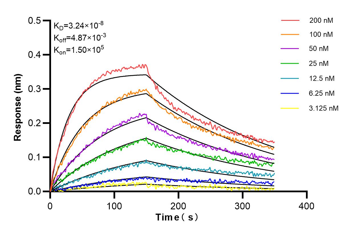 Affinity and Kinetic Characterization of 84496-4-RR