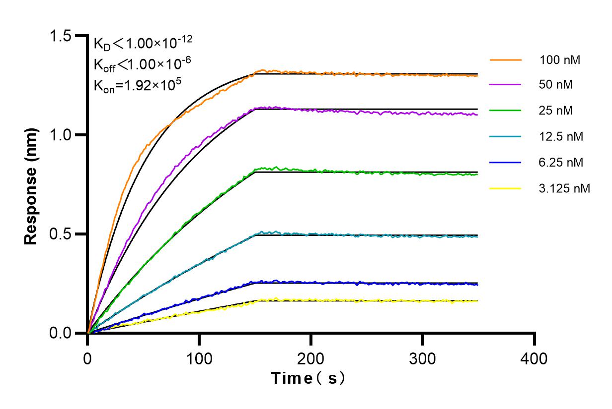 Affinity and Kinetic Characterization of 84498-1-RR