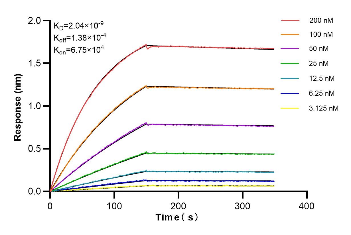 Affinity and Kinetic Characterization of 84511-5-RR