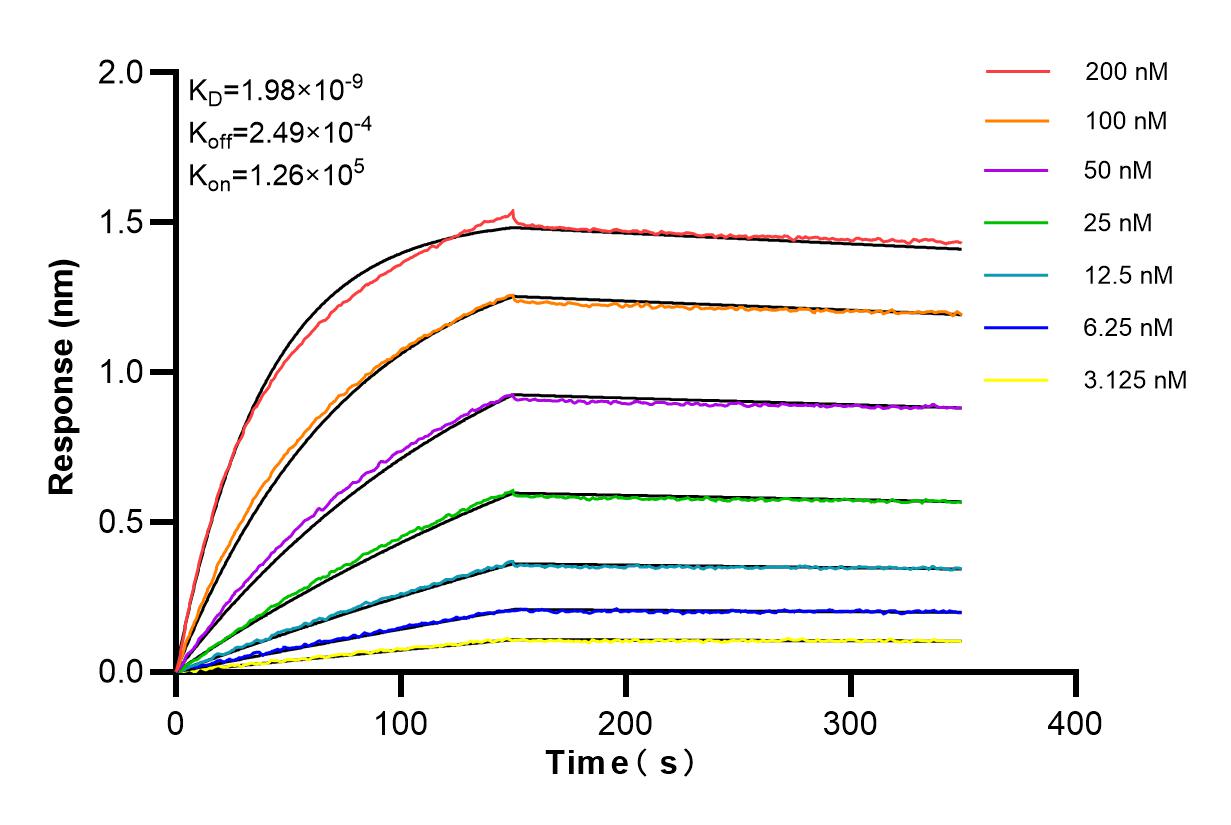 Affinity and Kinetic Characterization of 84516-7-RR