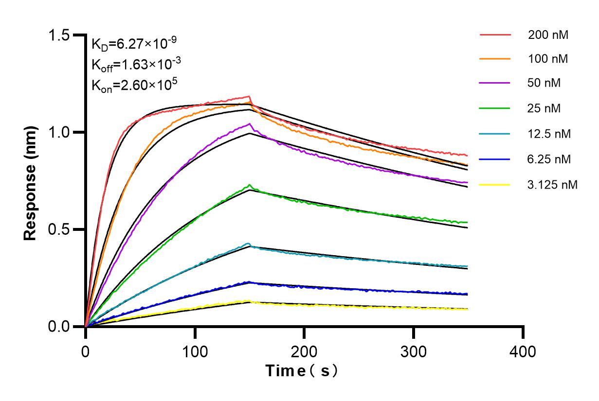 Affinity and Kinetic Characterization of 84521-5-RR