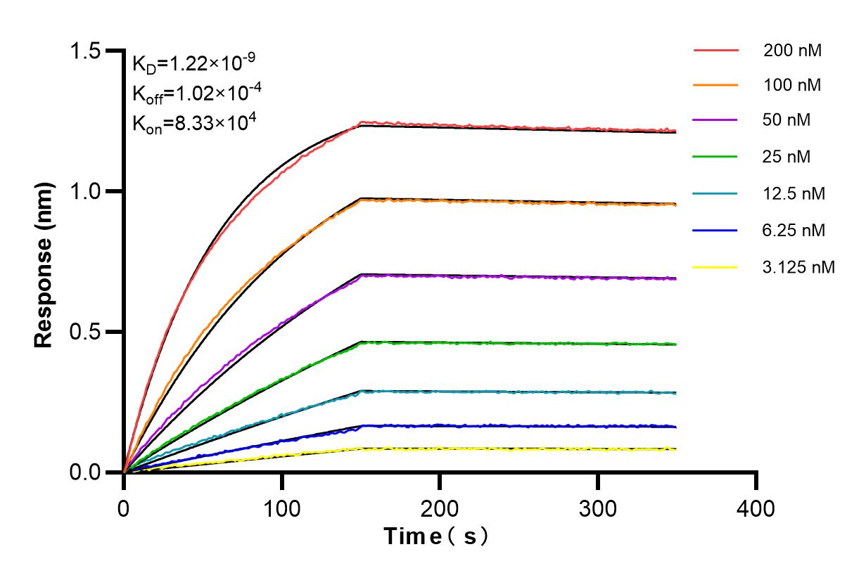 Affinity and Kinetic Characterization of 84529-3-RR