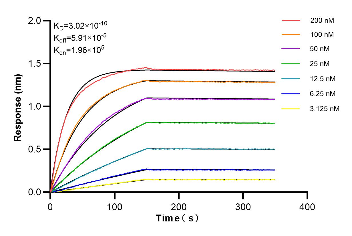 Affinity and Kinetic Characterization of 84532-4-RR