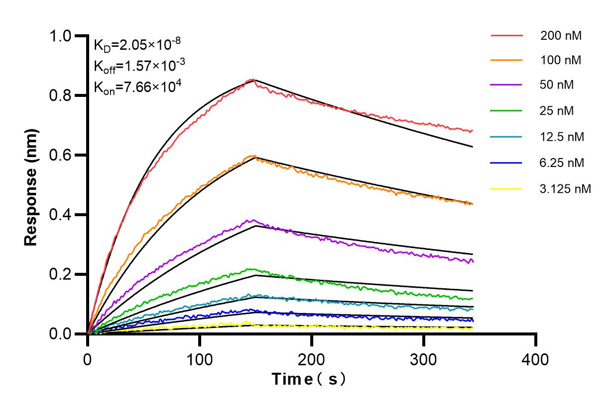 Affinity and Kinetic Characterization of 84561-2-RR