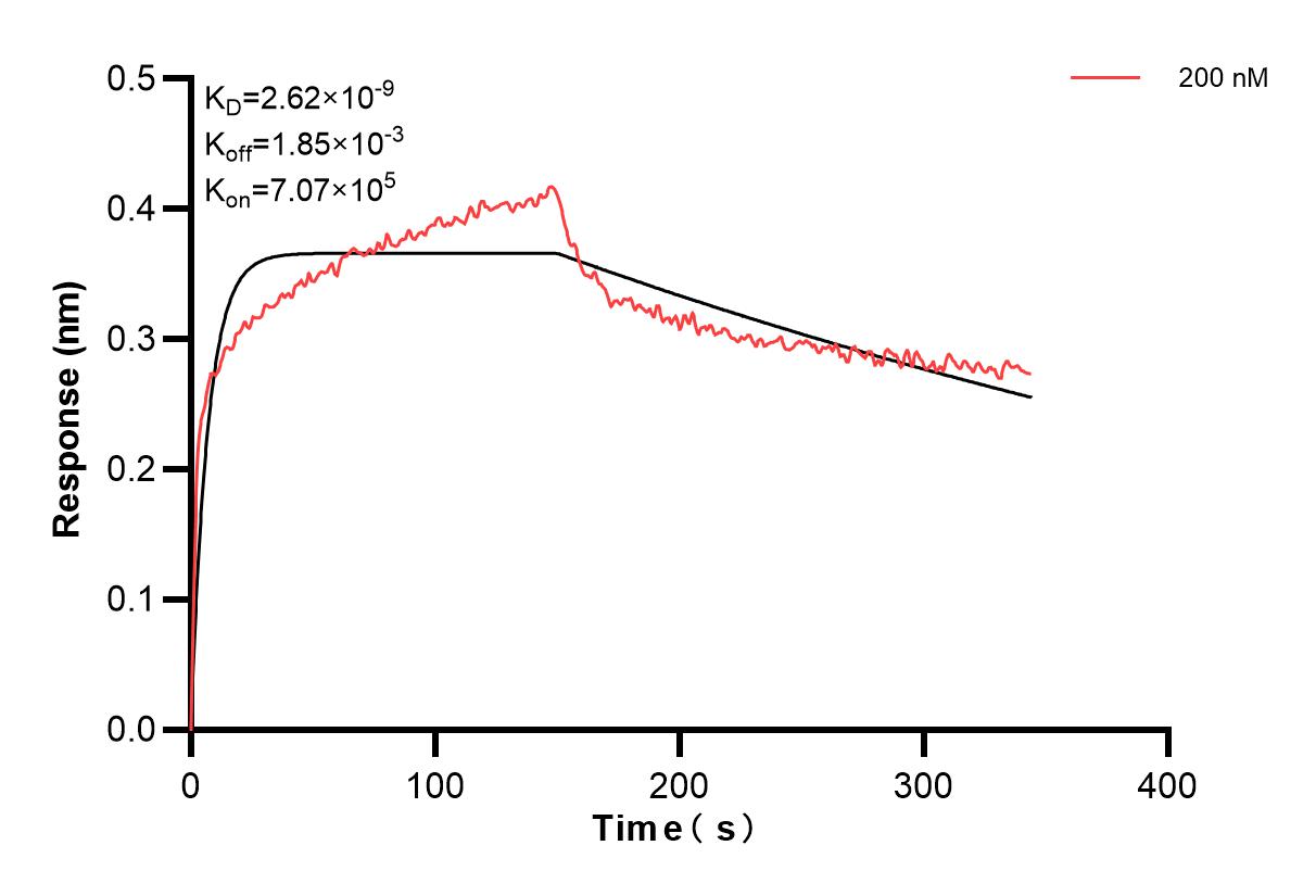 Affinity and Kinetic Characterization of 84564-1-PBS